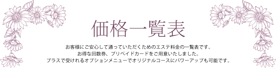 価格一覧表 ― お客様にご安心して通っていただくためのエステ料金の一覧表です。お得な回数券、プリペイドカードをご用意いたしました。プラスで受けれるオプションメニューでオリジナルコースにパワーアップも可能です。